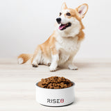 Pet Bowl - Rise8