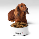 Pet Bowl - Rise8